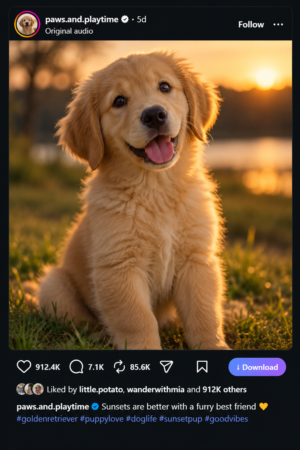 Download Instagram Reels